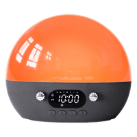 AryaWake Sunrise Alarm Clock