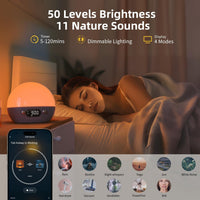 AryaWake Sunrise Alarm Clock