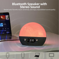 AryaWake Sunrise Alarm Clock