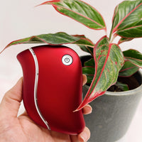 ShaLifto Gua Sha Tool