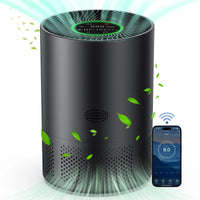 Smokelixo Air Purifier For Pollen And Mold